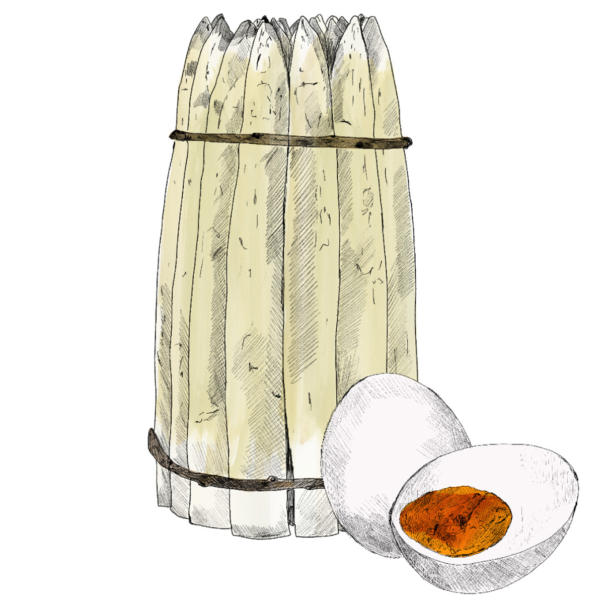 Asparagi Bianchi di Bassano Dop e Uova alla Bassanese
